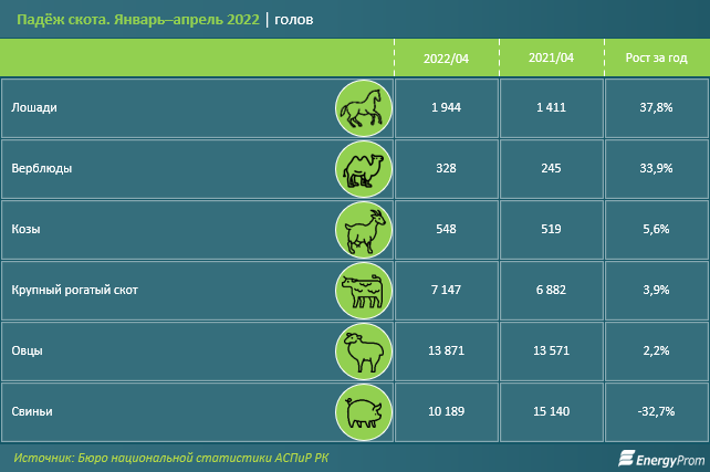 Производство куриных яиц выросло на 12,1% за год 1398298 - Kapital.kz 