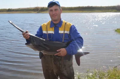 Рыбопитомник, который зарабатывает миллионы