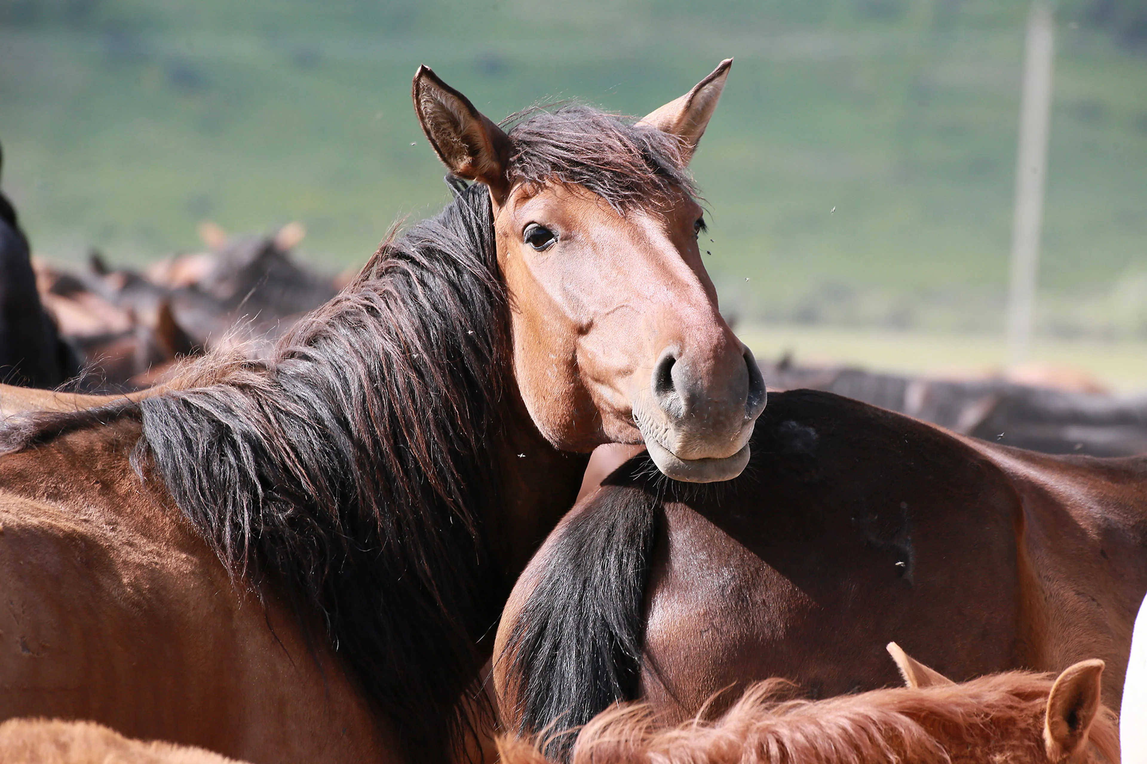 Фото: Руслан Пряников
