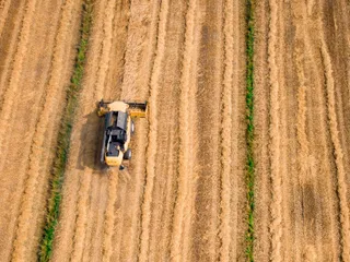 Капитал - Как помогает фермерам КазАгроФинанс