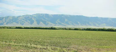 Фото: Руслан Пряников