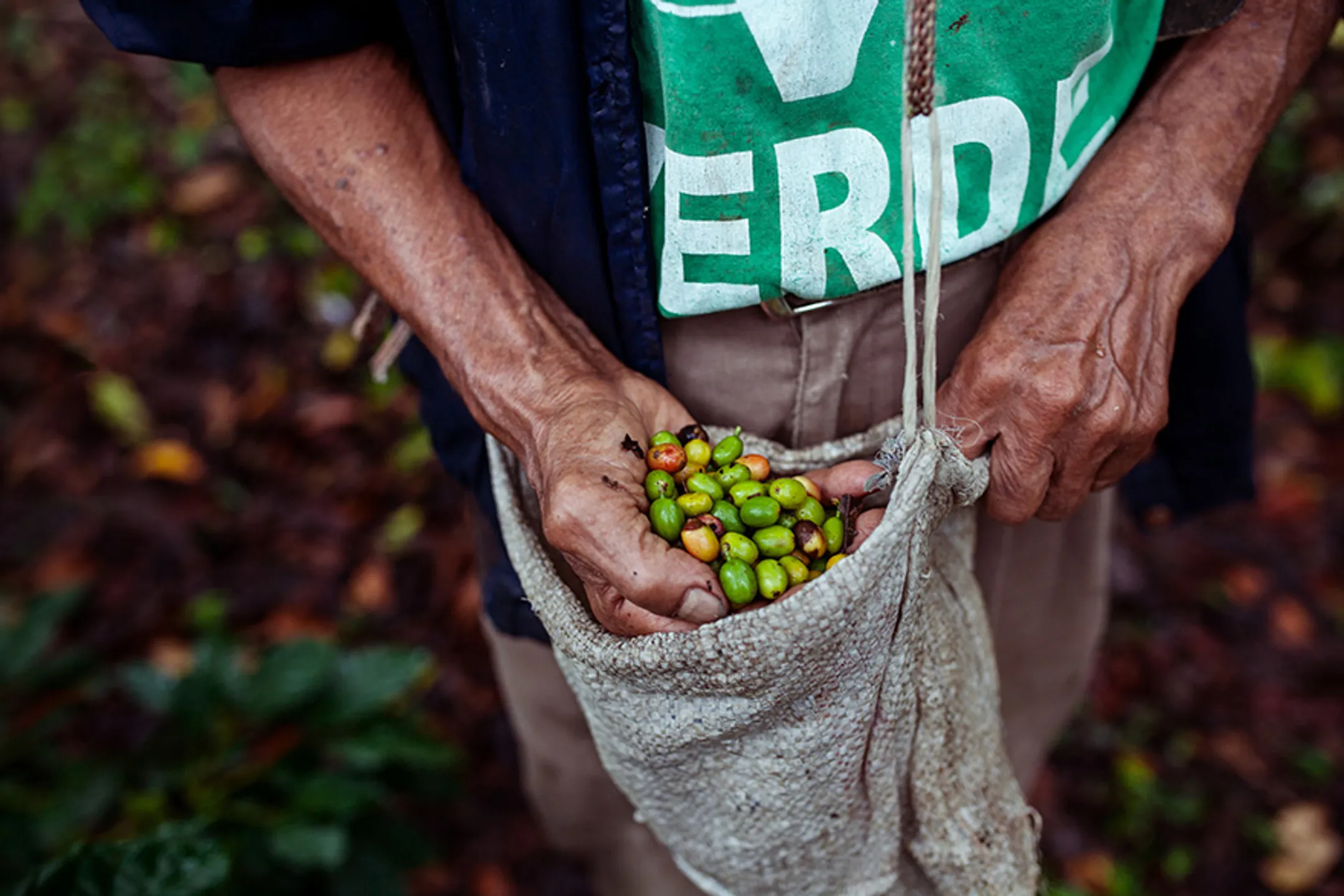 Costa Coffee появился из-за неумения британцев ценить кофе - Image Kapital.kz