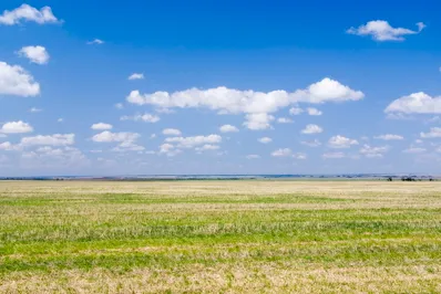 Казахстан – это Ұлы дала елi