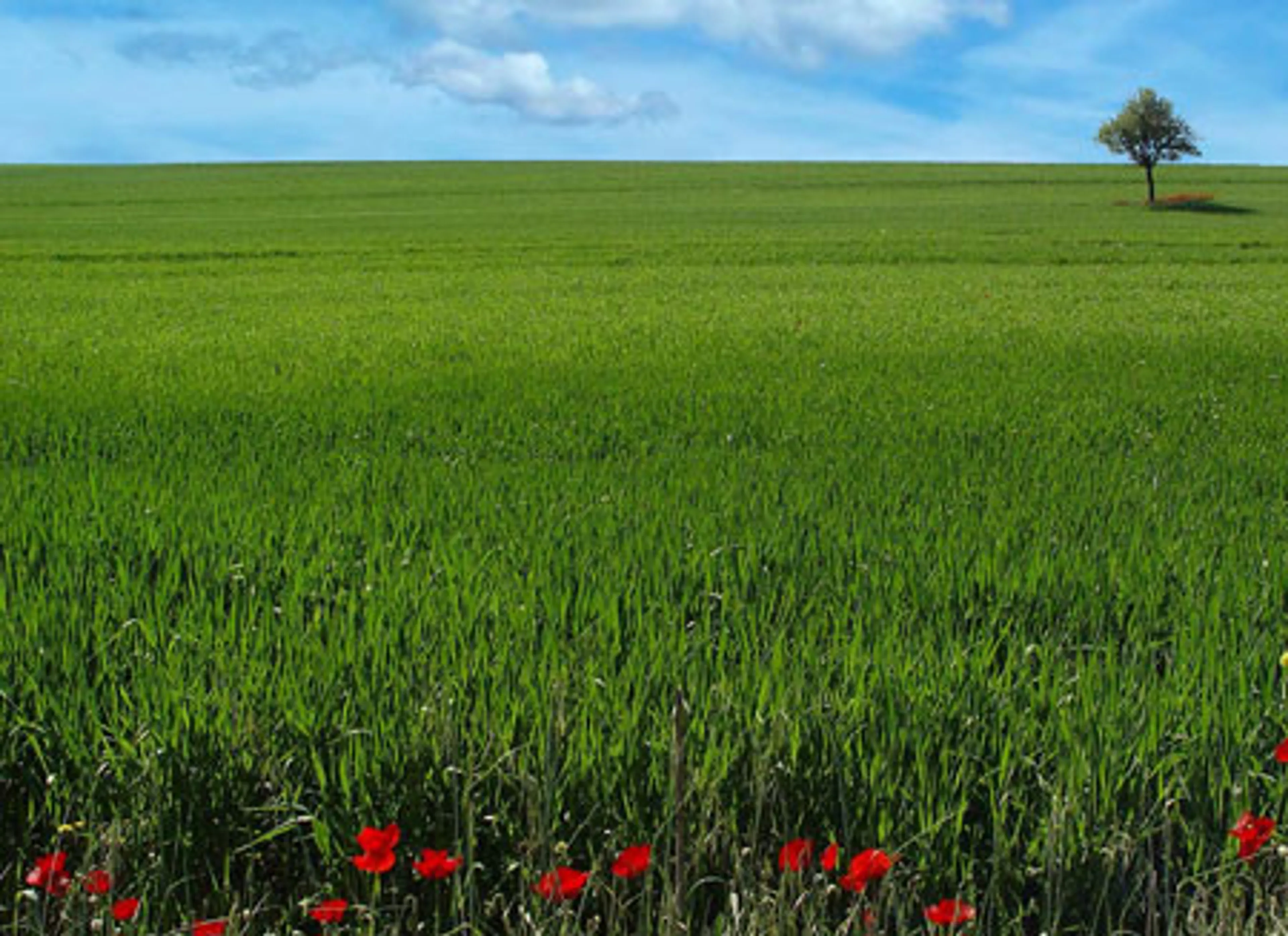 Капитал - Кыргызстан и РК не решили вопрос по участку Большой клин