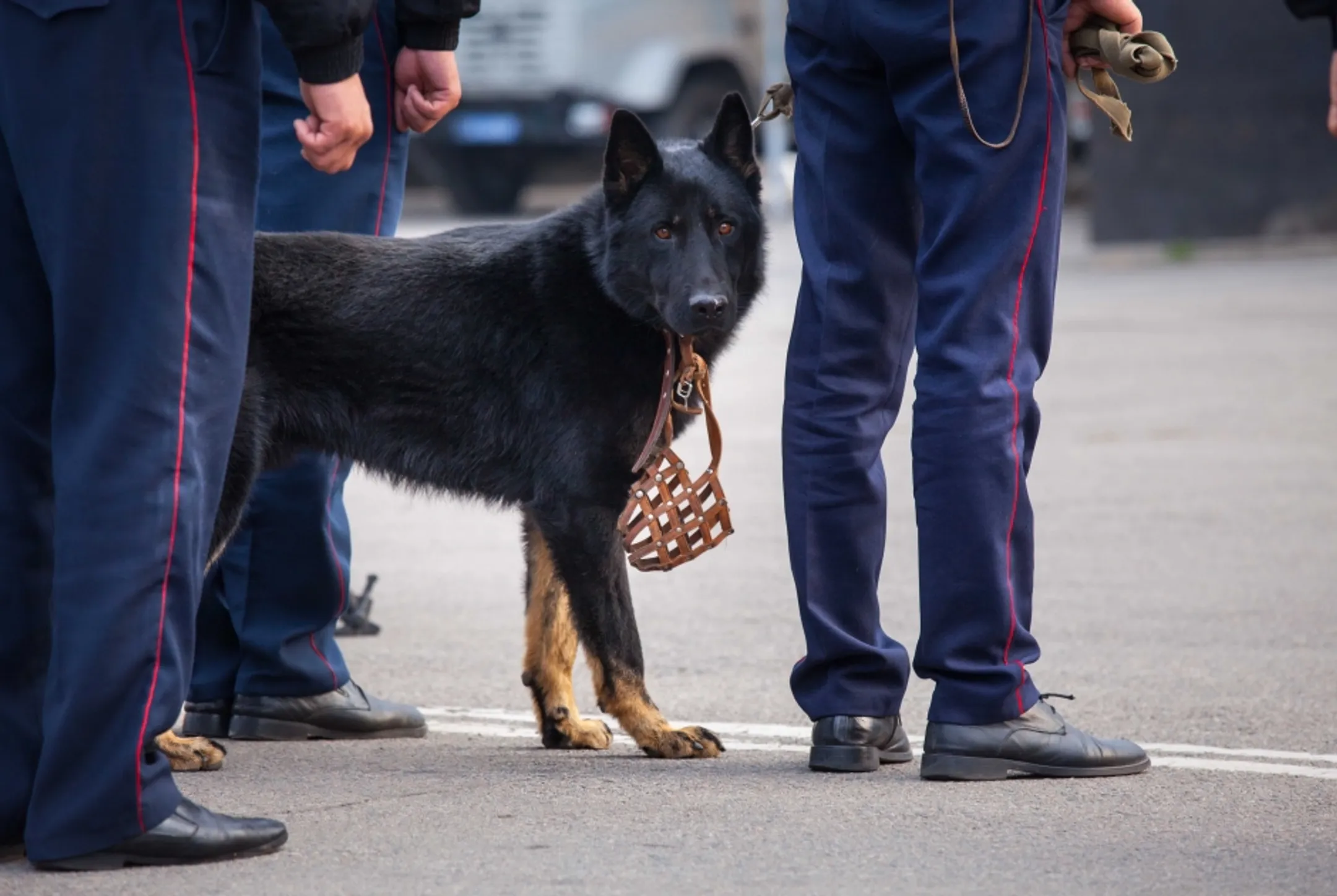 Поступило сообщение о заминировании оптового рынка - Image Kapital.kz