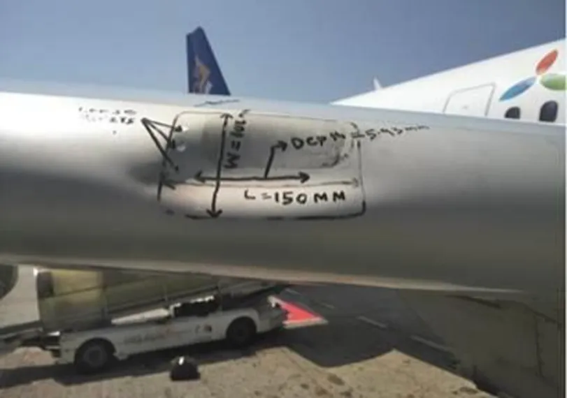 Капитал - «Эйр Астана»: безопасности полетов угрожают птицы