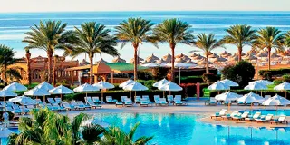 Капитал - РК возобновляет авиасообщение с Египтом