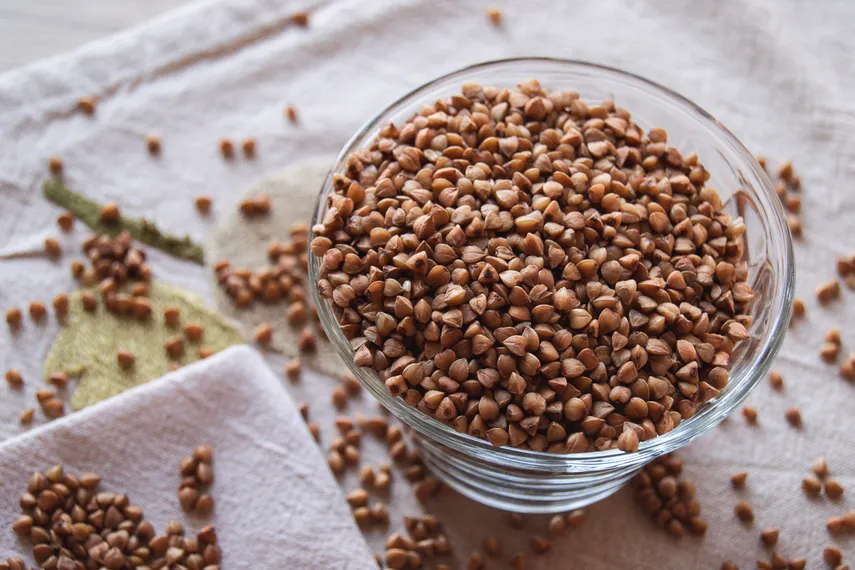 Фото: Валерия Змейкова