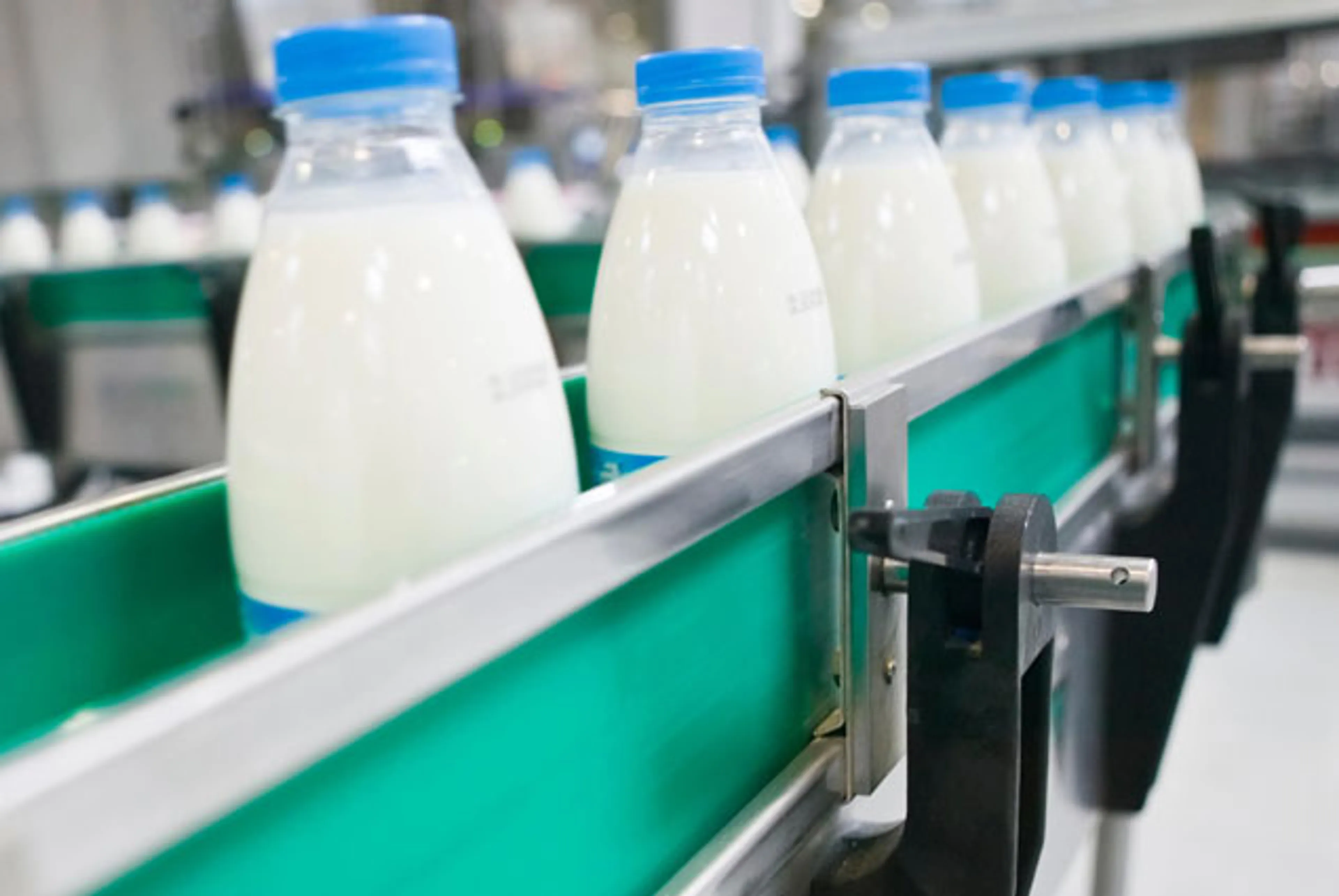 Капитал - В Актюбинской области создадут агроиндустриальную зону