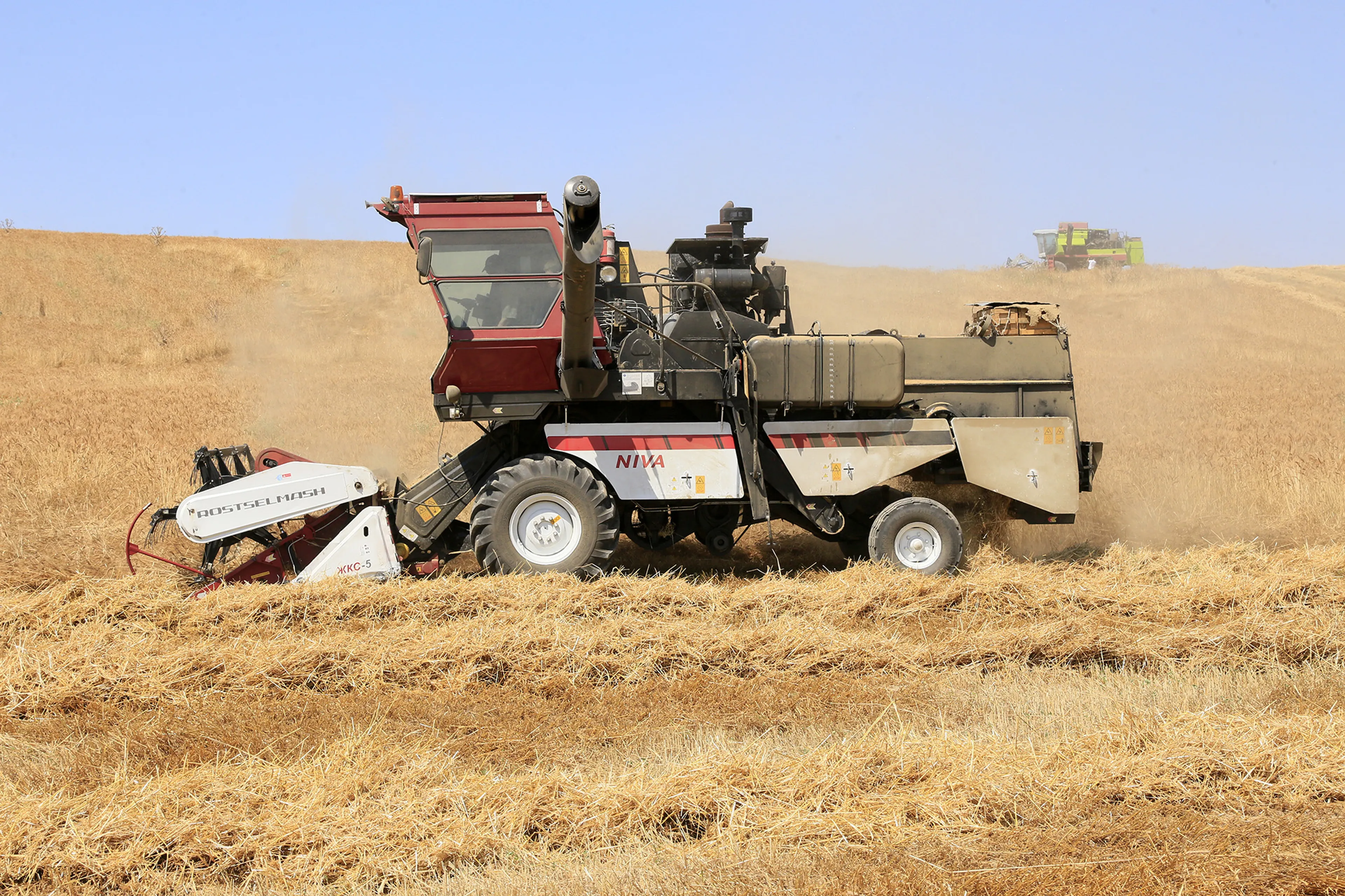 Фото: Руслан Пряников 