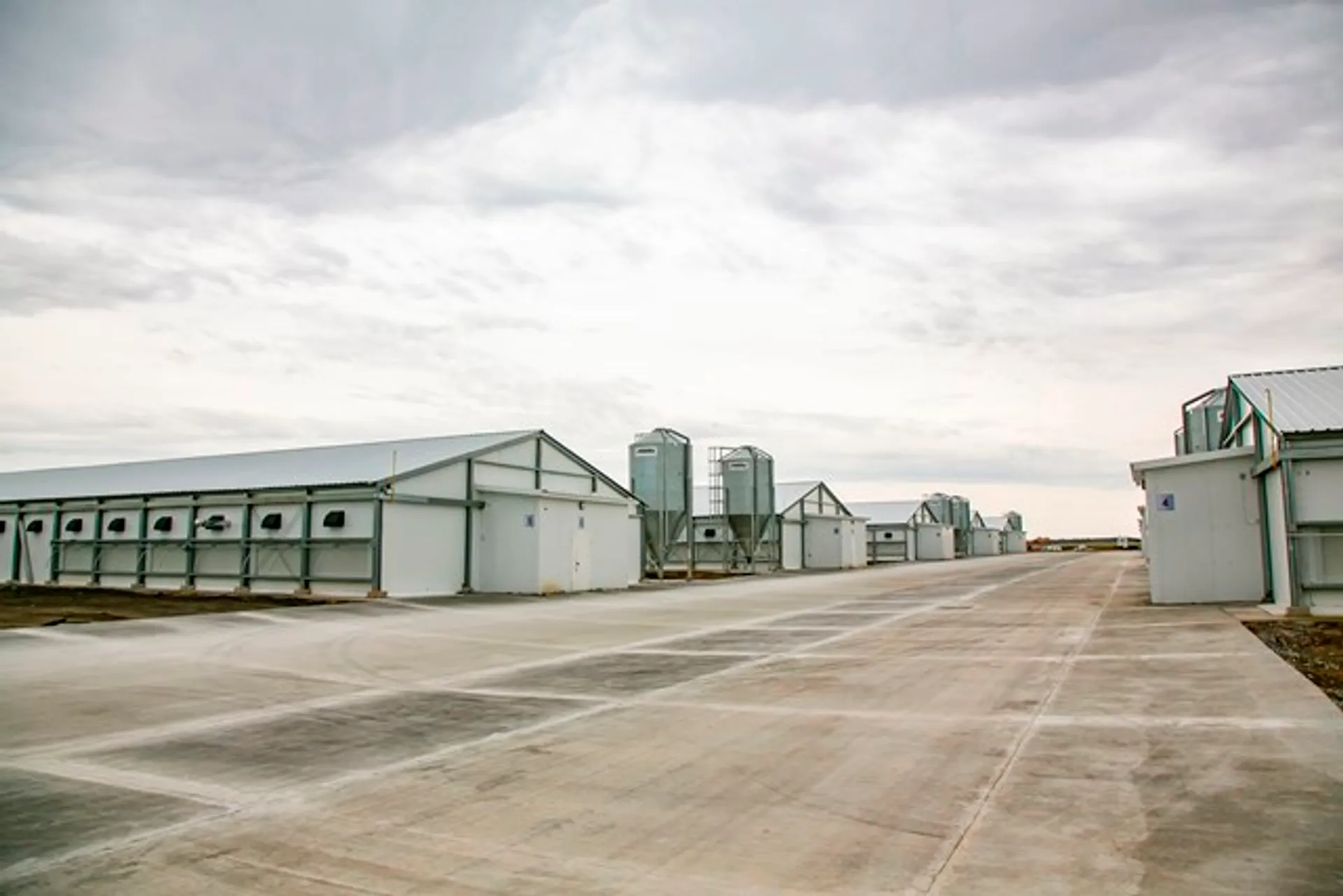 Капитал - В Акмолинской области начала свою работу Макинская птицефабрика