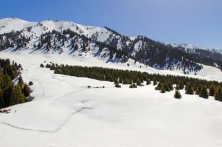 Капитал - Как заработать на глобальном потеплении?