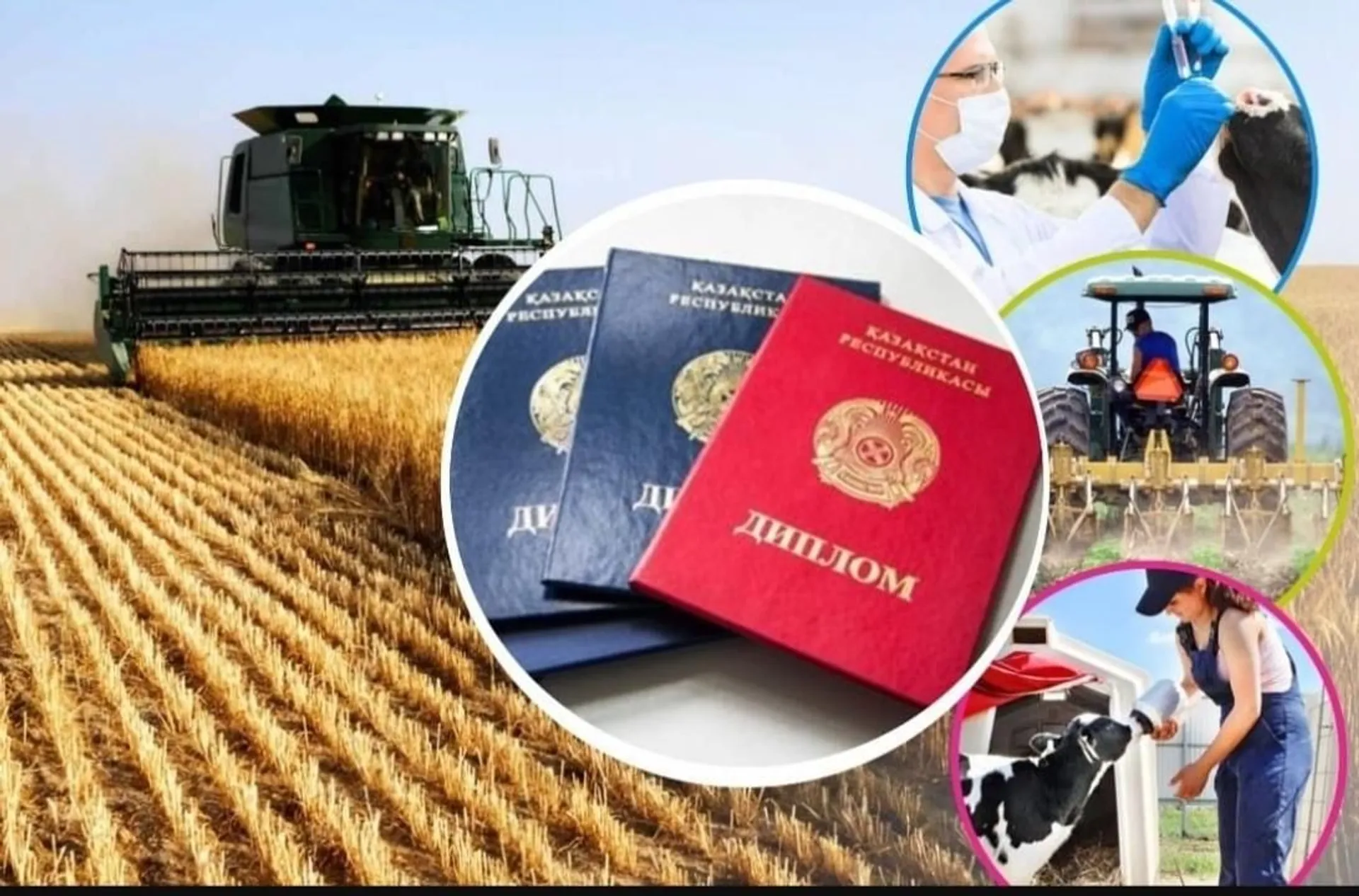 Фото: сайт министерства национальной экономики 