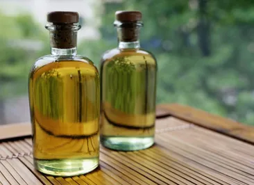 ​Завод по производству касторового масла открылся в ЮКО