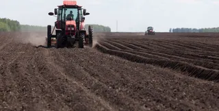 Капитал - Установлена цена на дизельное топливо для аграриев