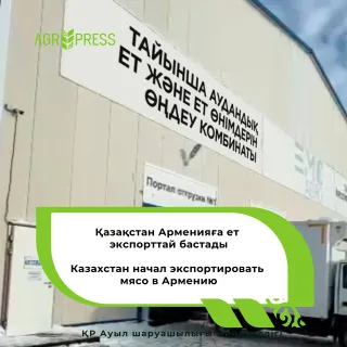 Капитал - Казахстан начал экспортировать мясо в Армению