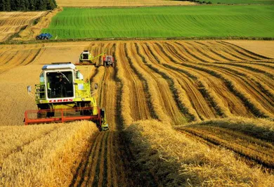 Выдача мелких займов в селах выросла в 4 раза