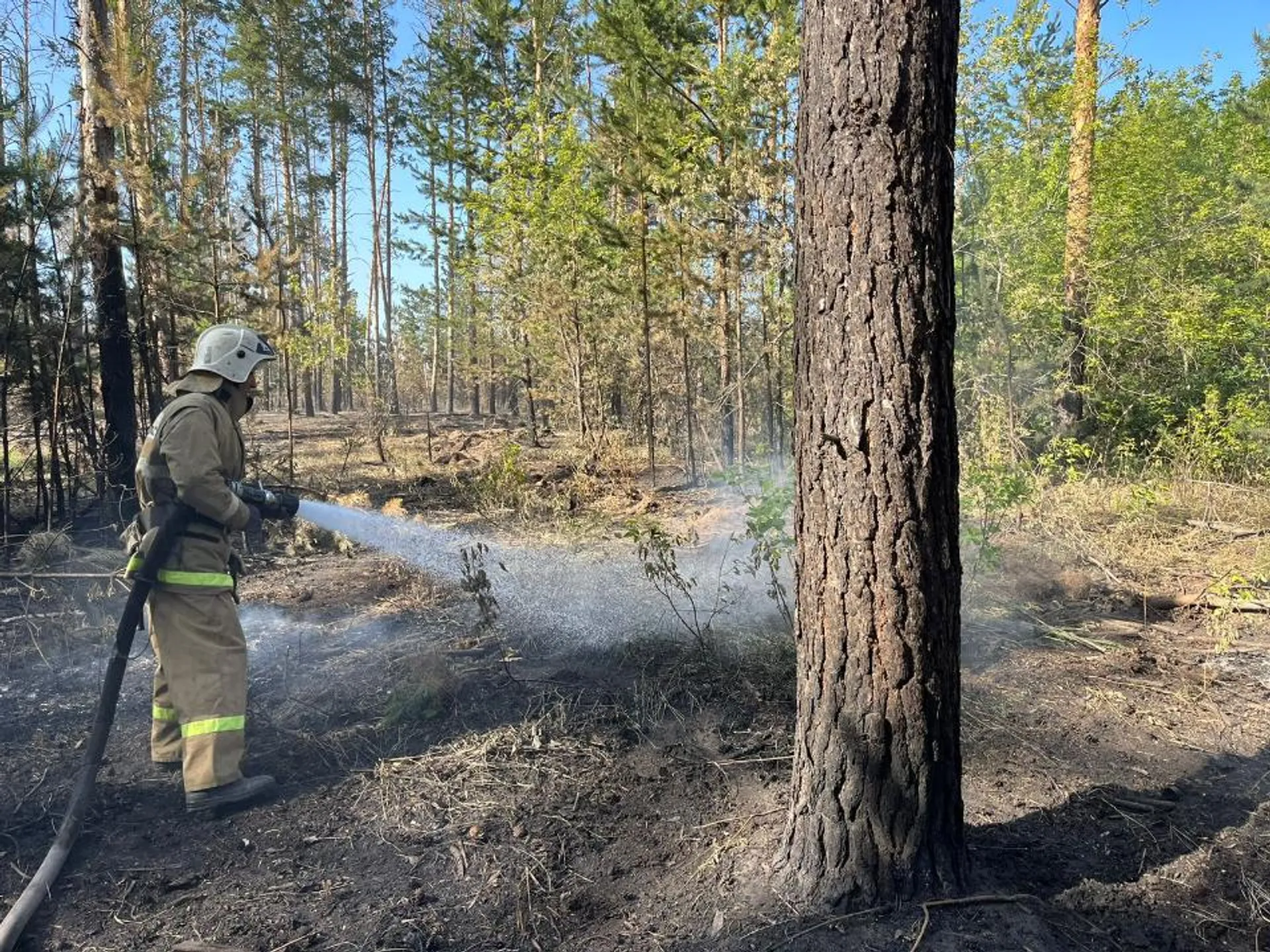 Фото: МЧС РК