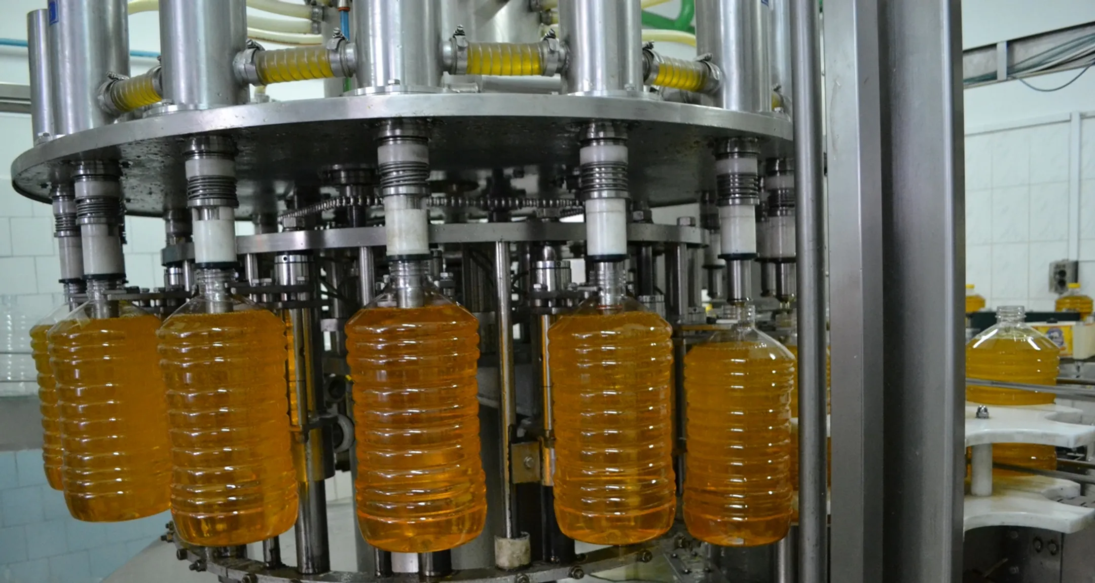 Тернистый путь к успеху - Image Kapital.kz