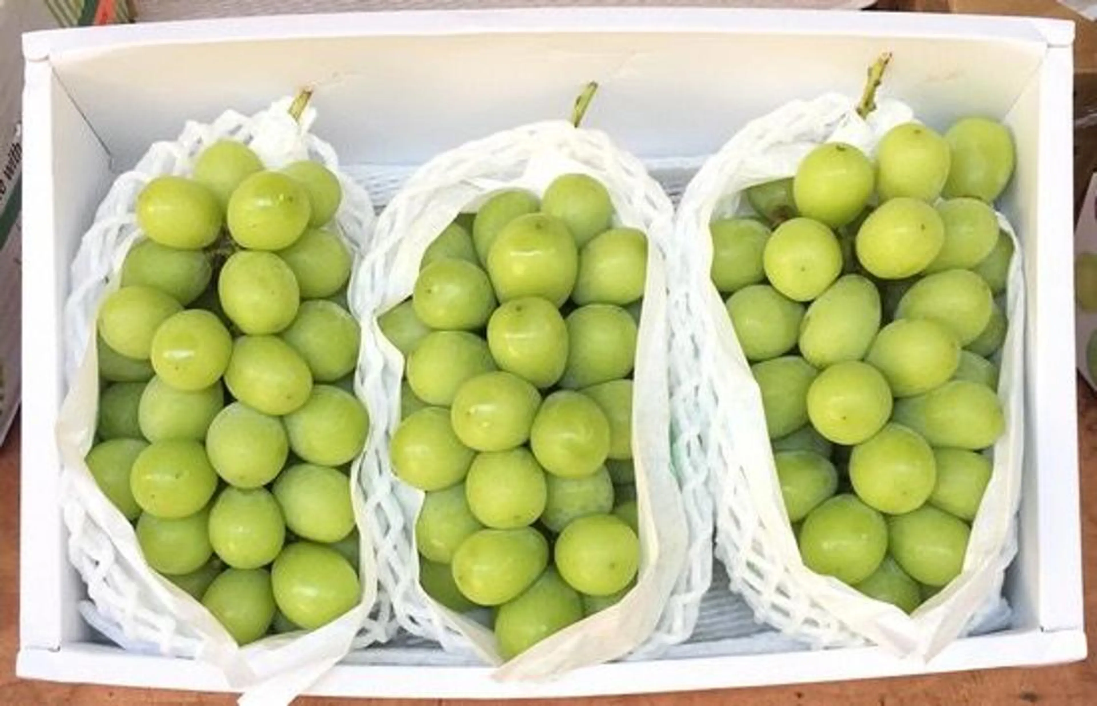 Фото: Министерство сельского хозяйства РК 