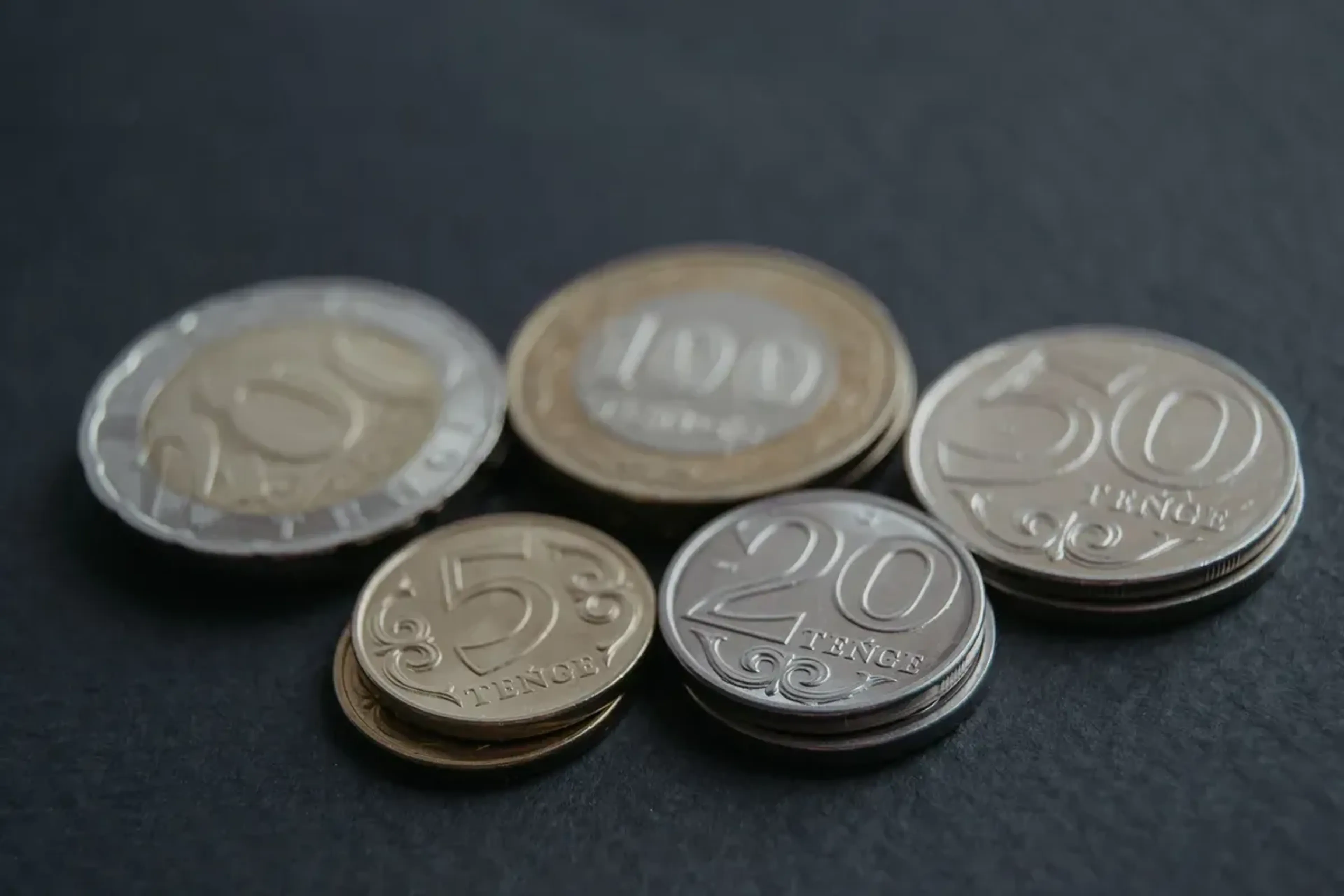 Фото: Валерия Змейкова