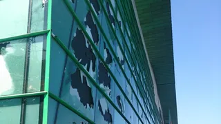 Капитал - Оргвыводов от МВД по инциденту в Алматы не будет