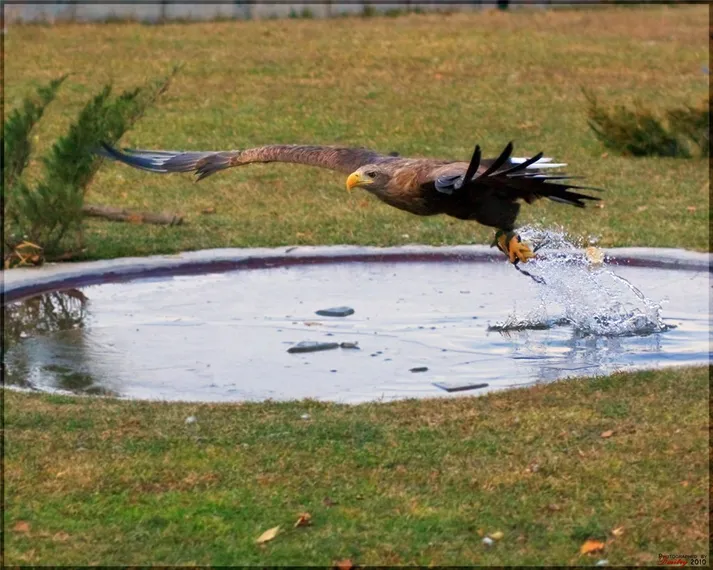 Капитал - 3 интересных места для этнотуризма в Казахстане