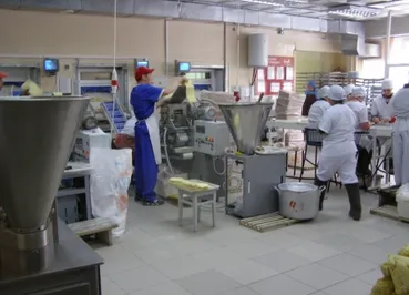 В Алматы за год число фирм выросло на 21,6%