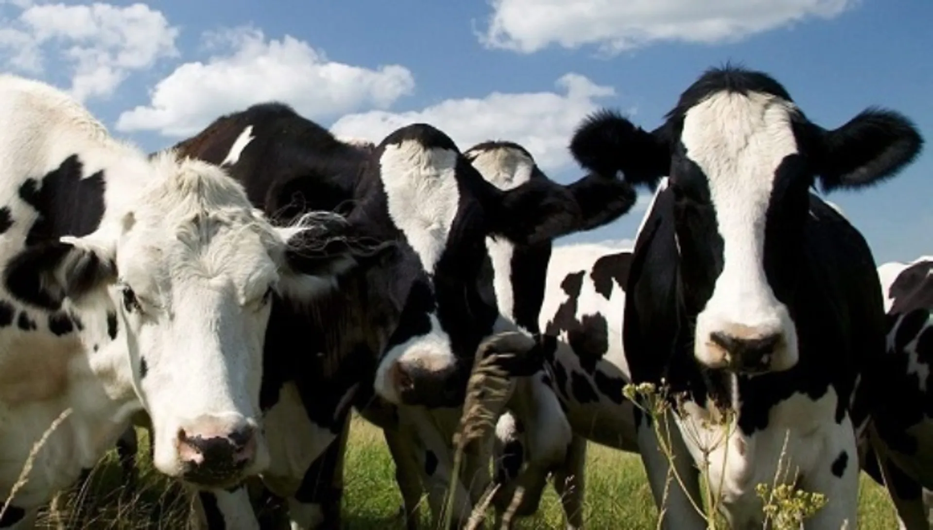 Капитал - Мамытбеков ответил на критику Назарбаева