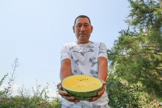 Капитал - Ставка фермера на выращивание экзотических сортов арбуза сыграла