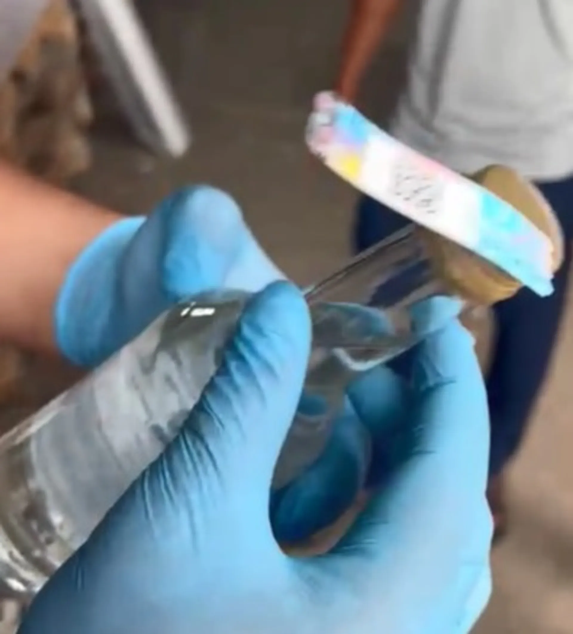 Капитал - В Жамбылской области производили поддельную алкогольную продукцию