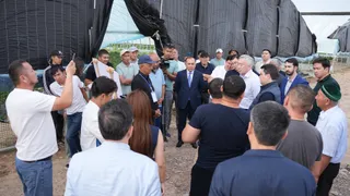 Капитал - Казахстанские тепличники заявили о проблеме сбыта овощей и ягод из-за импорта