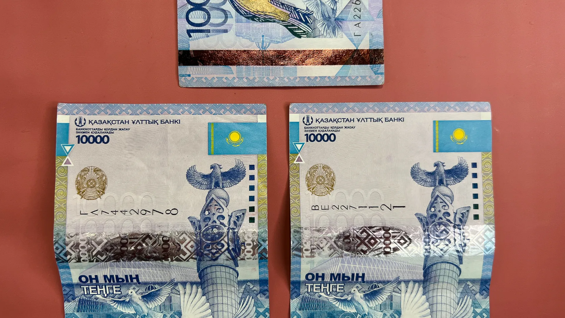 Фото: Валерия Змейкова