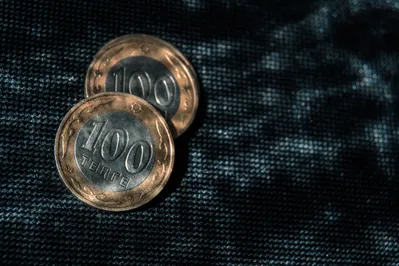 Фото: Валерия Змейкова