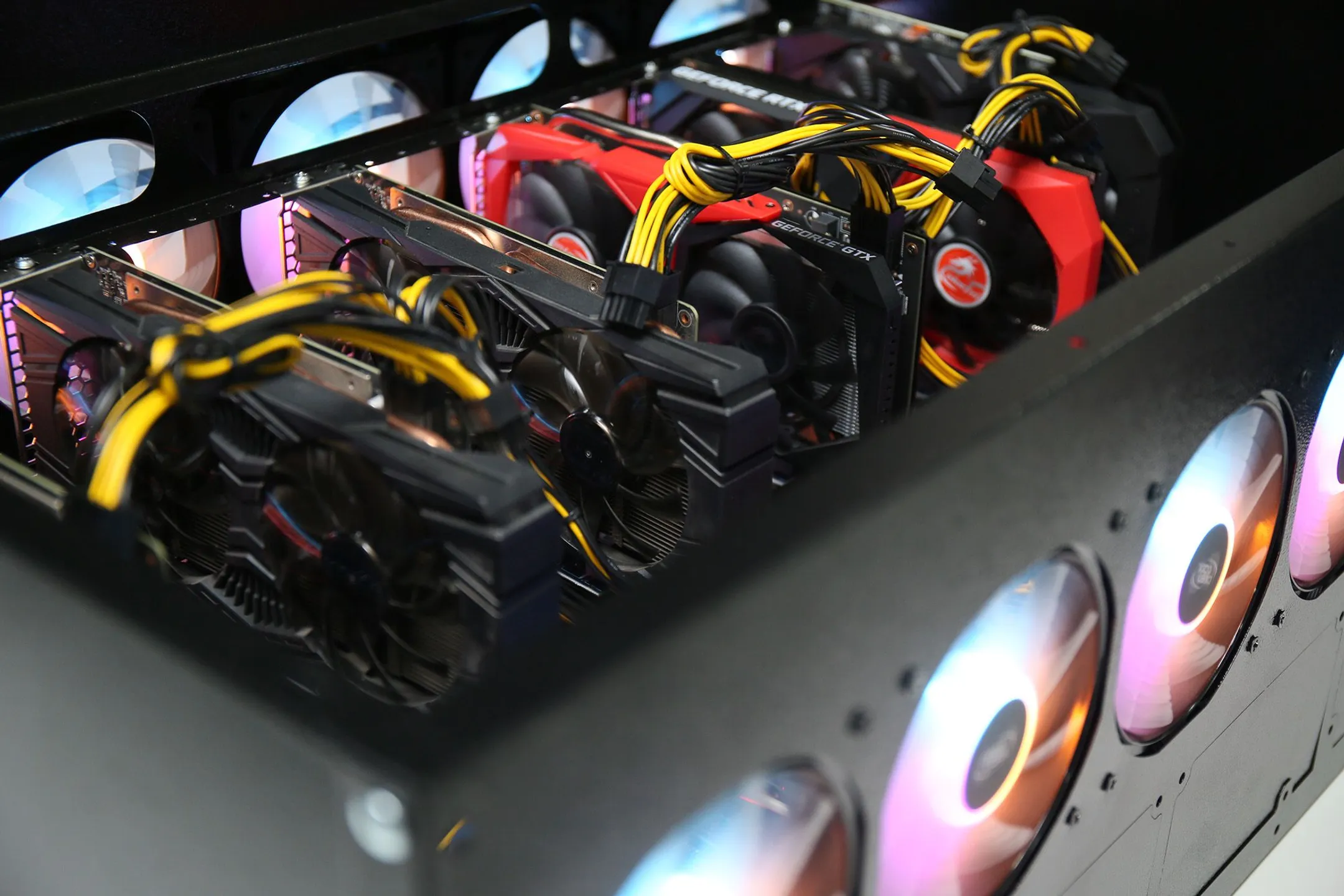 Фото: Руслан Пряников