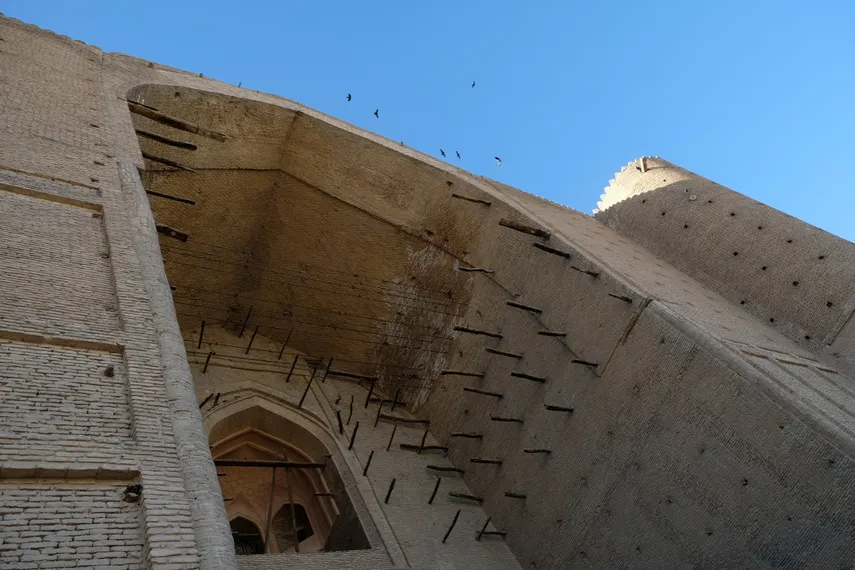 Фото: Владимир Третьяков