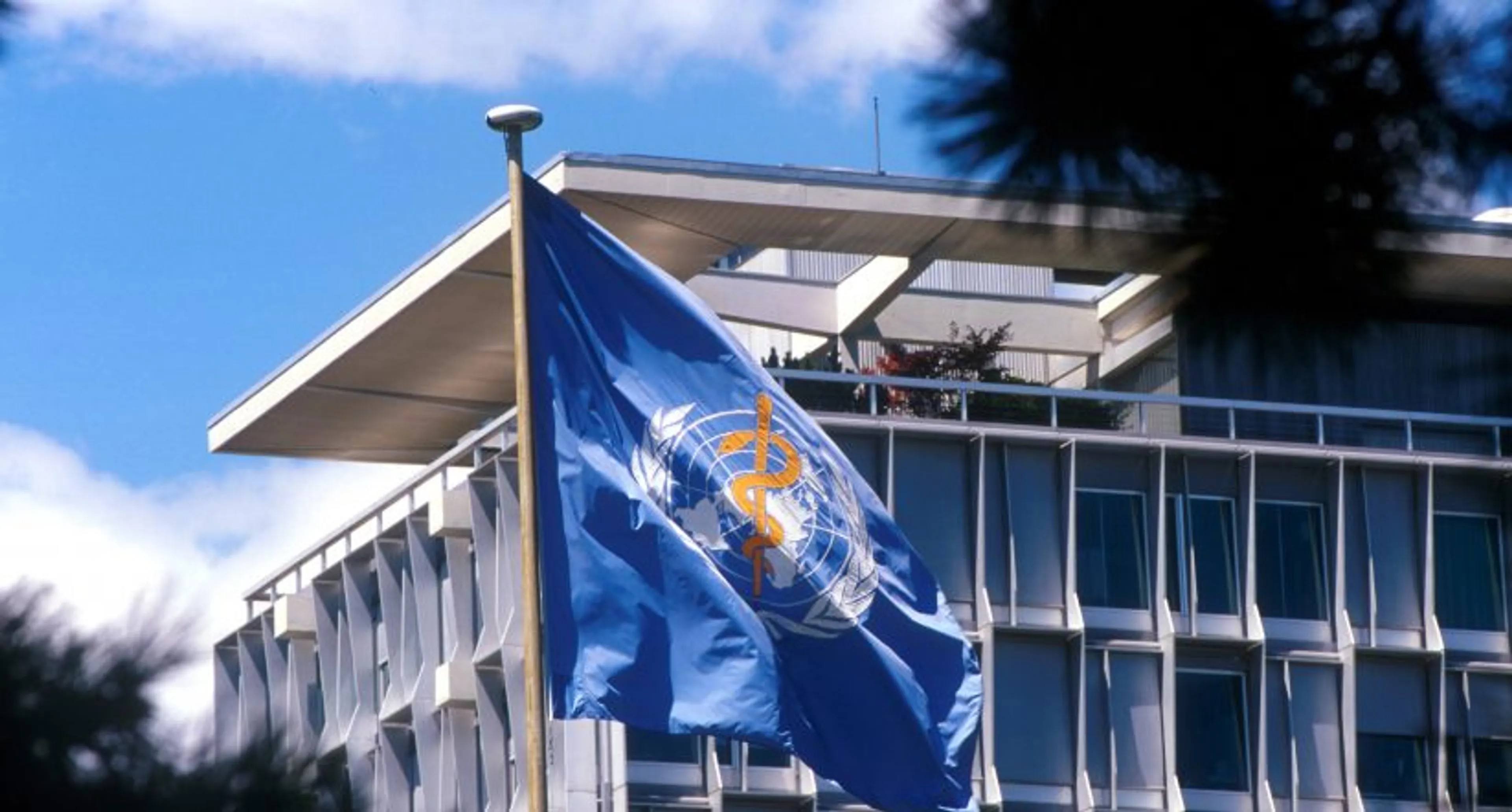 Капитал - ВОЗ тратит на поездки больше, чем на борьбу с болезнями