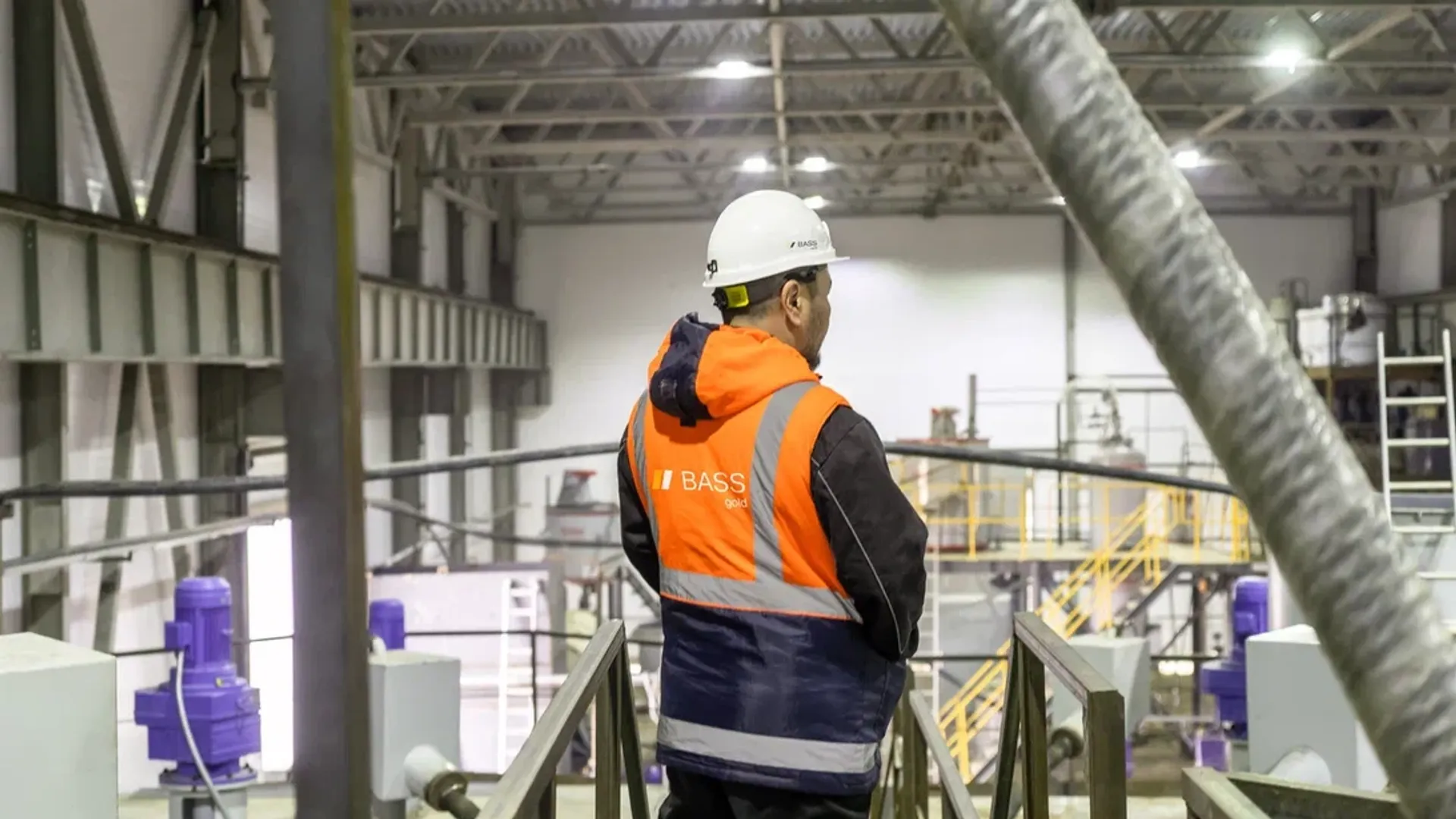 Фото: пресс-служба BASS Gold