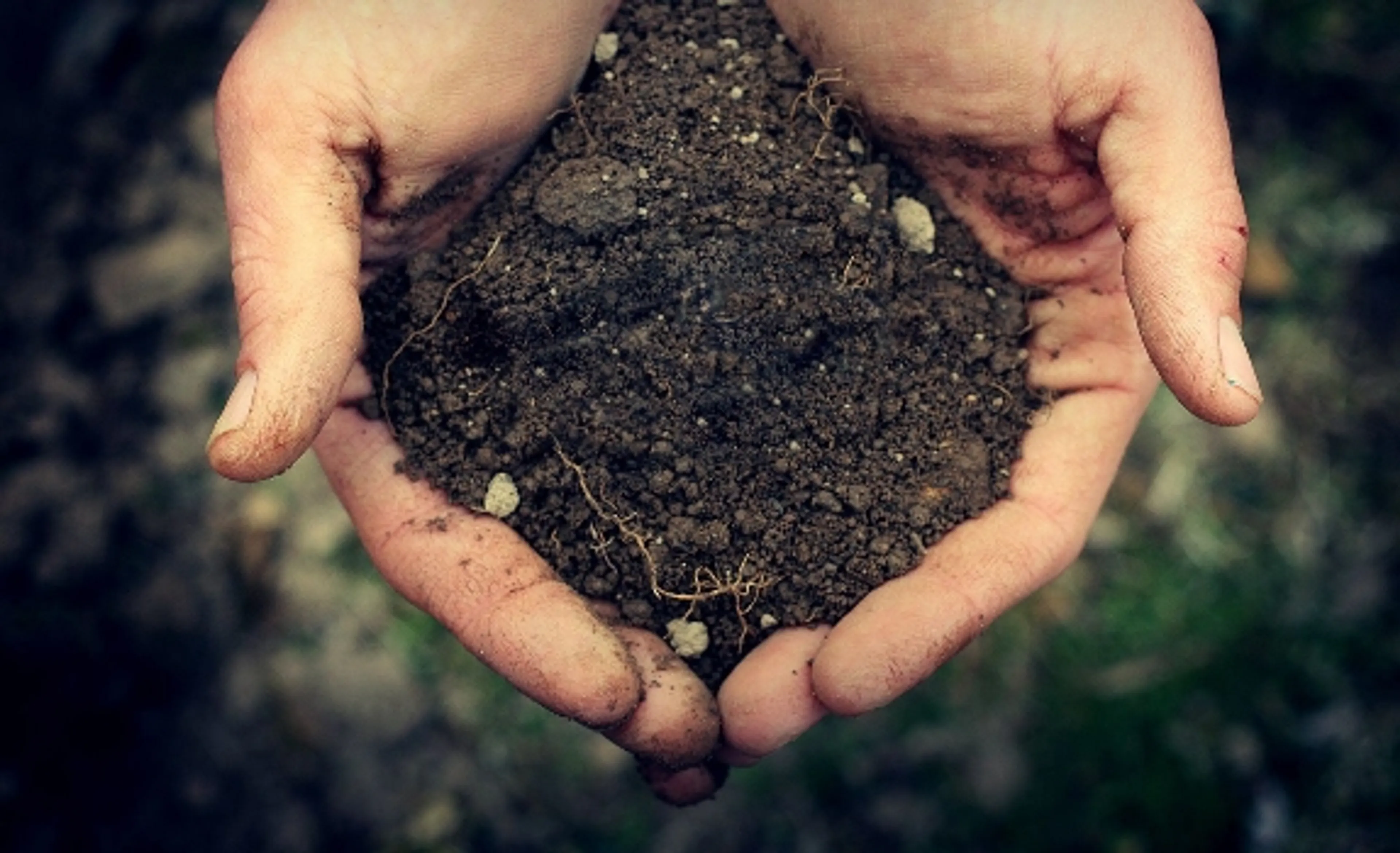 Капитал - В Караганде подорожала земля под строительство жилья