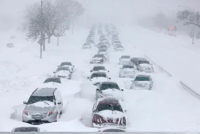 В США ввели режим чрезвычайного положения