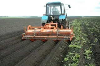 Капитал - 25 лет аренды земли назвали разумным сроком