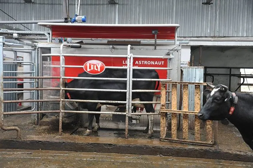 Капитал - В Минсельхозе предлагают проводить ежегодный аудит сельхозкооперативов