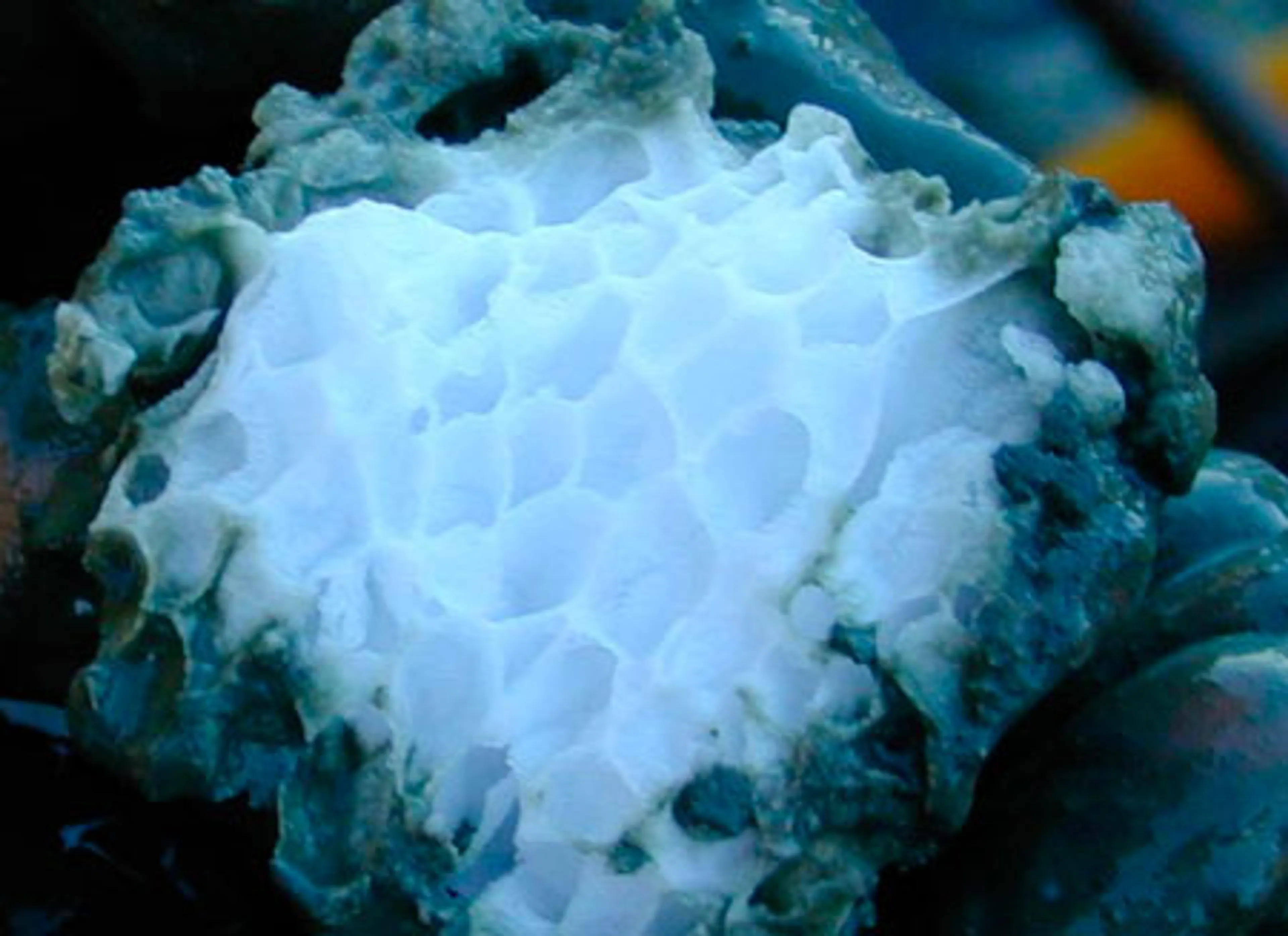 Капитал - Ледяной огонь через 10 лет заменит газ