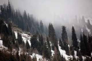 Капитал - На спасение гор алматинцы собрали свыше 150 млн тенге