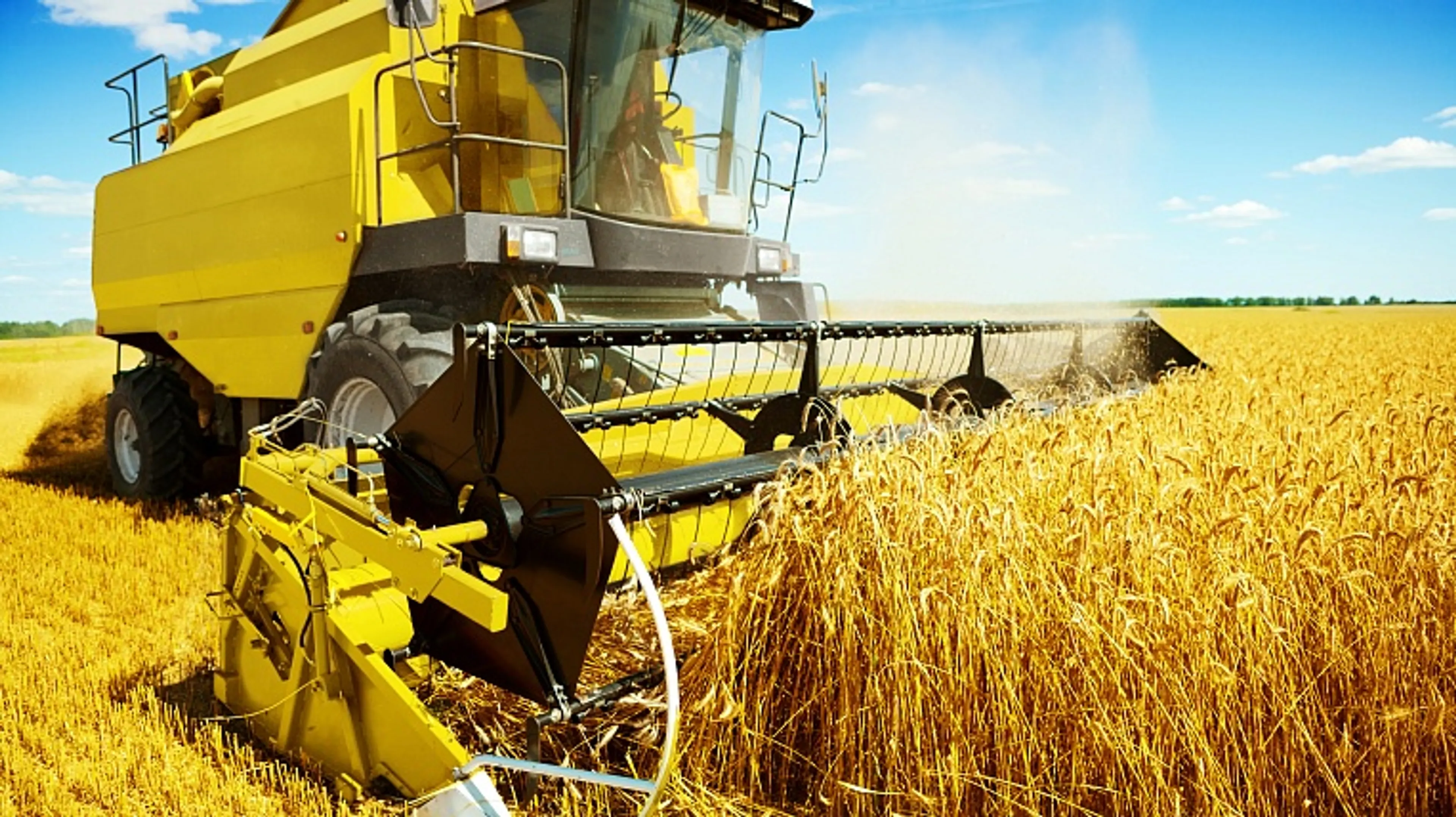 Капитал - Развитию АПК поможет проектный менеджмент