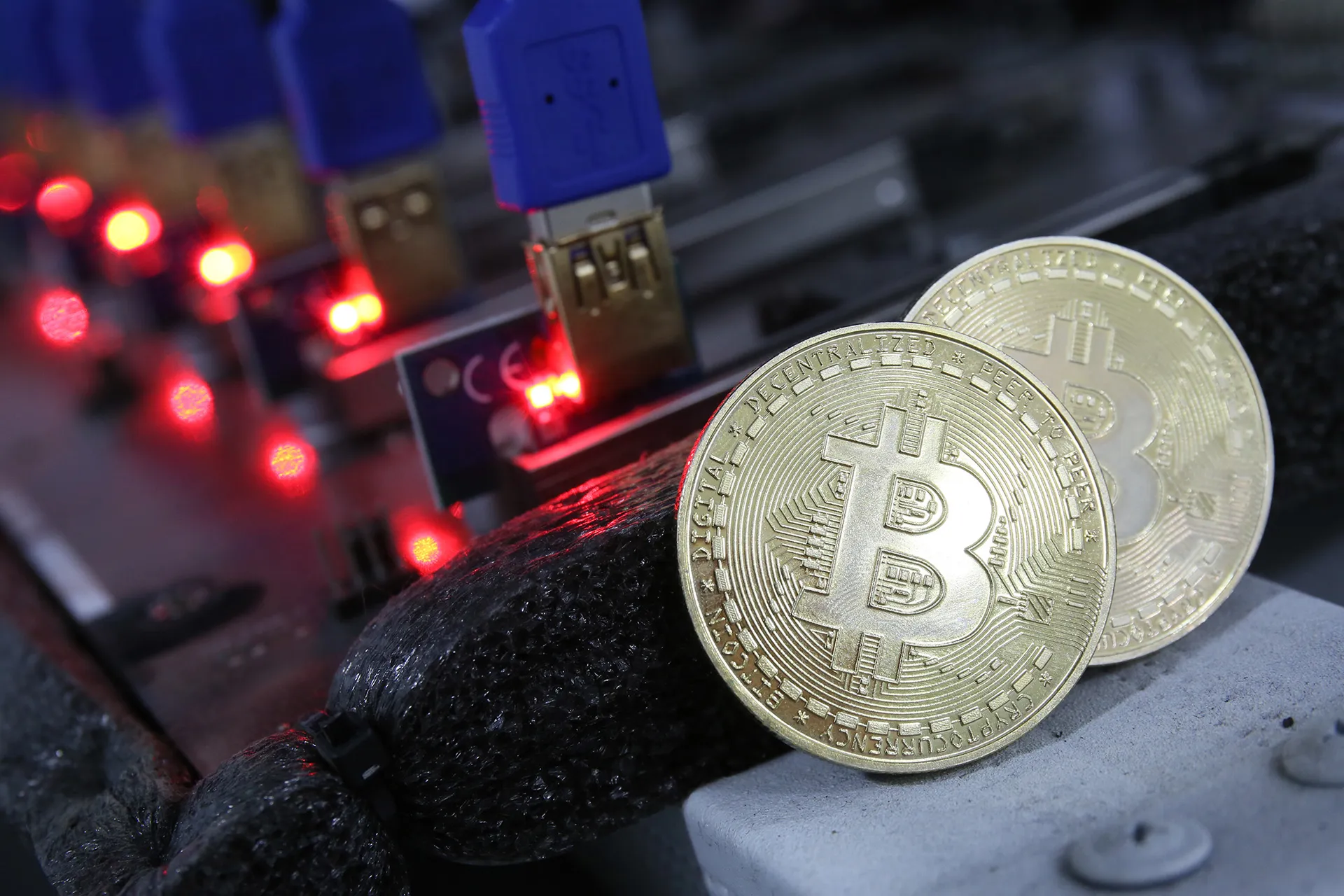 Фото: Руслан Пряников