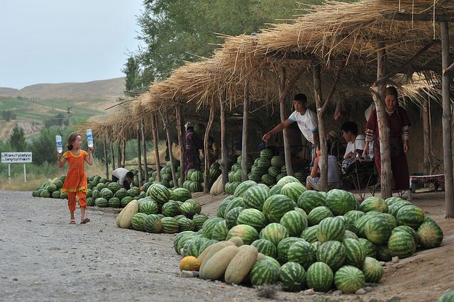 Временный контроль стран ЕАЭС в отношении сельхозпродукции Кыргызстана продлится недолго- Kapital.kz