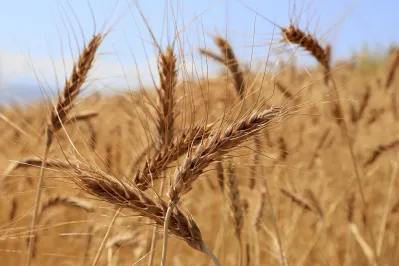 Фото: Руслан Пряников 