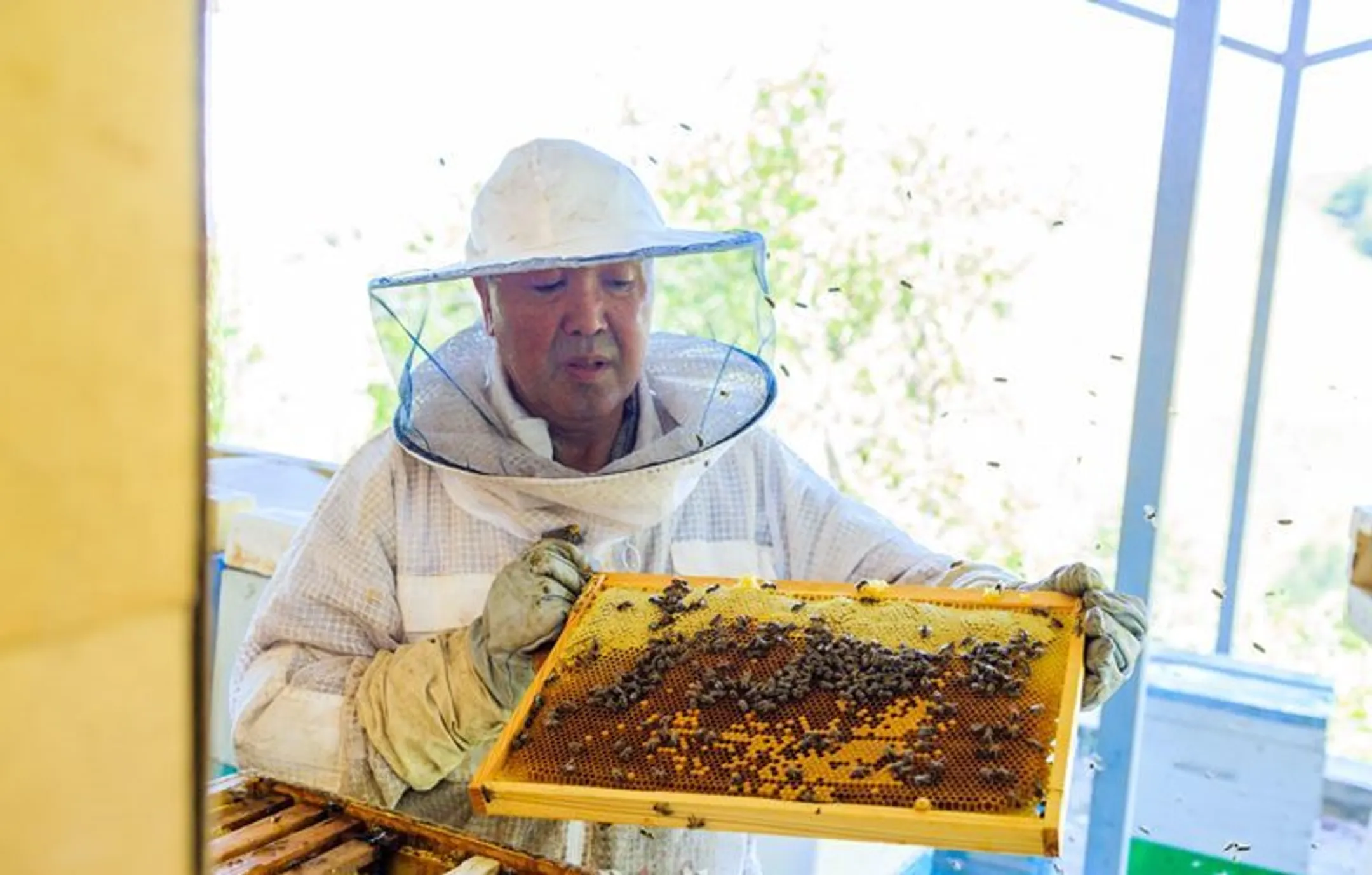 Изображение Kapital.kz