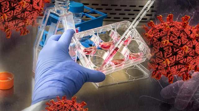 Изображение Kapital.kz